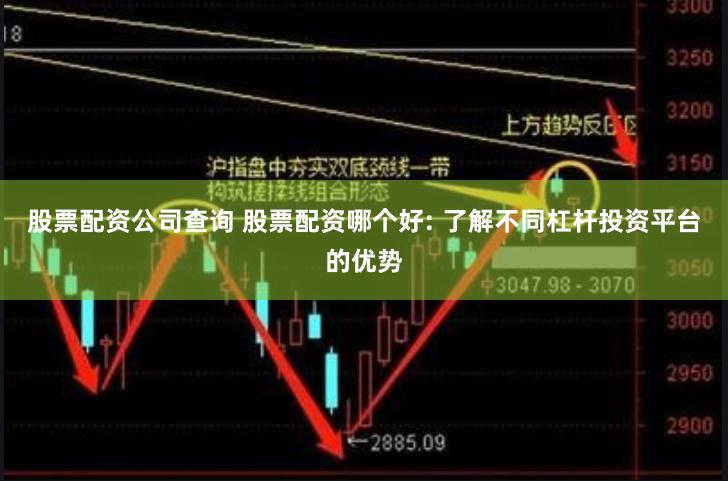 股票配资公司查询 股票配资哪个好: 了解不同杠杆投资平台的优势