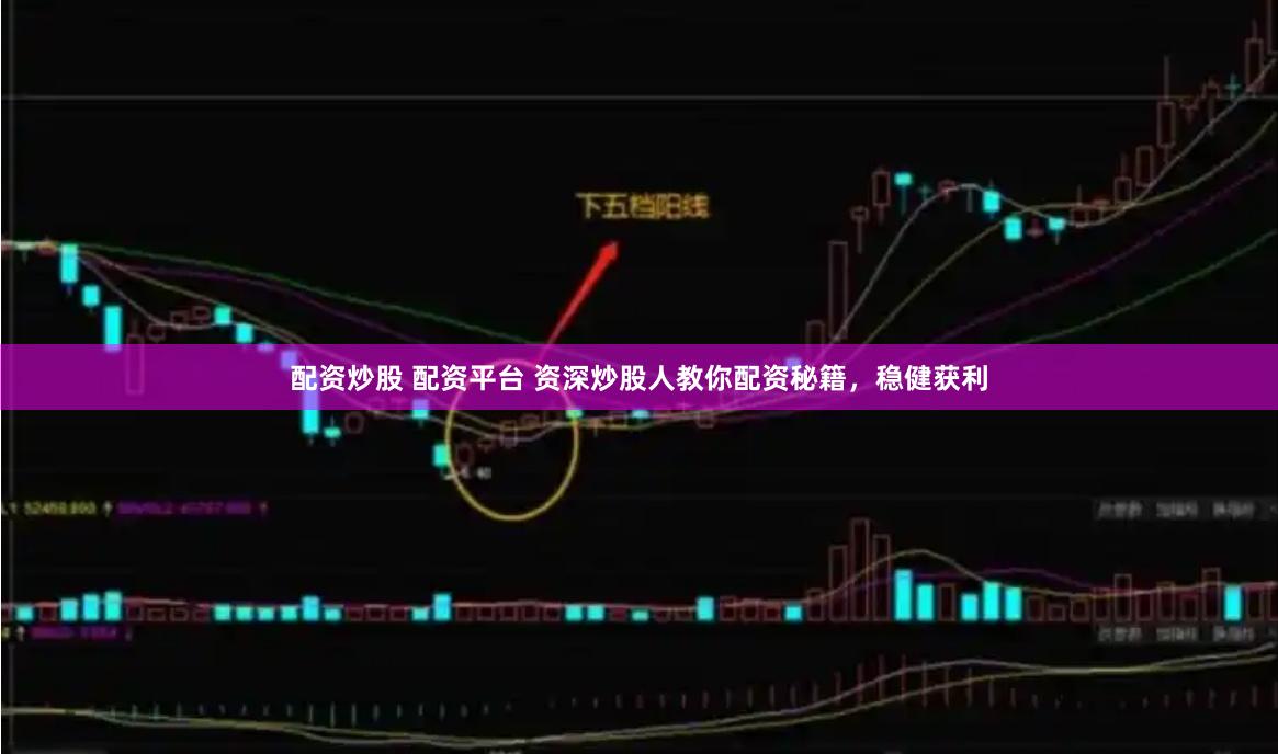 配资炒股 配资平台 资深炒股人教你配资秘籍，稳健获利