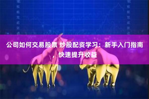 公司如何交易股票 炒股配资学习：新手入门指南，快速提升收益